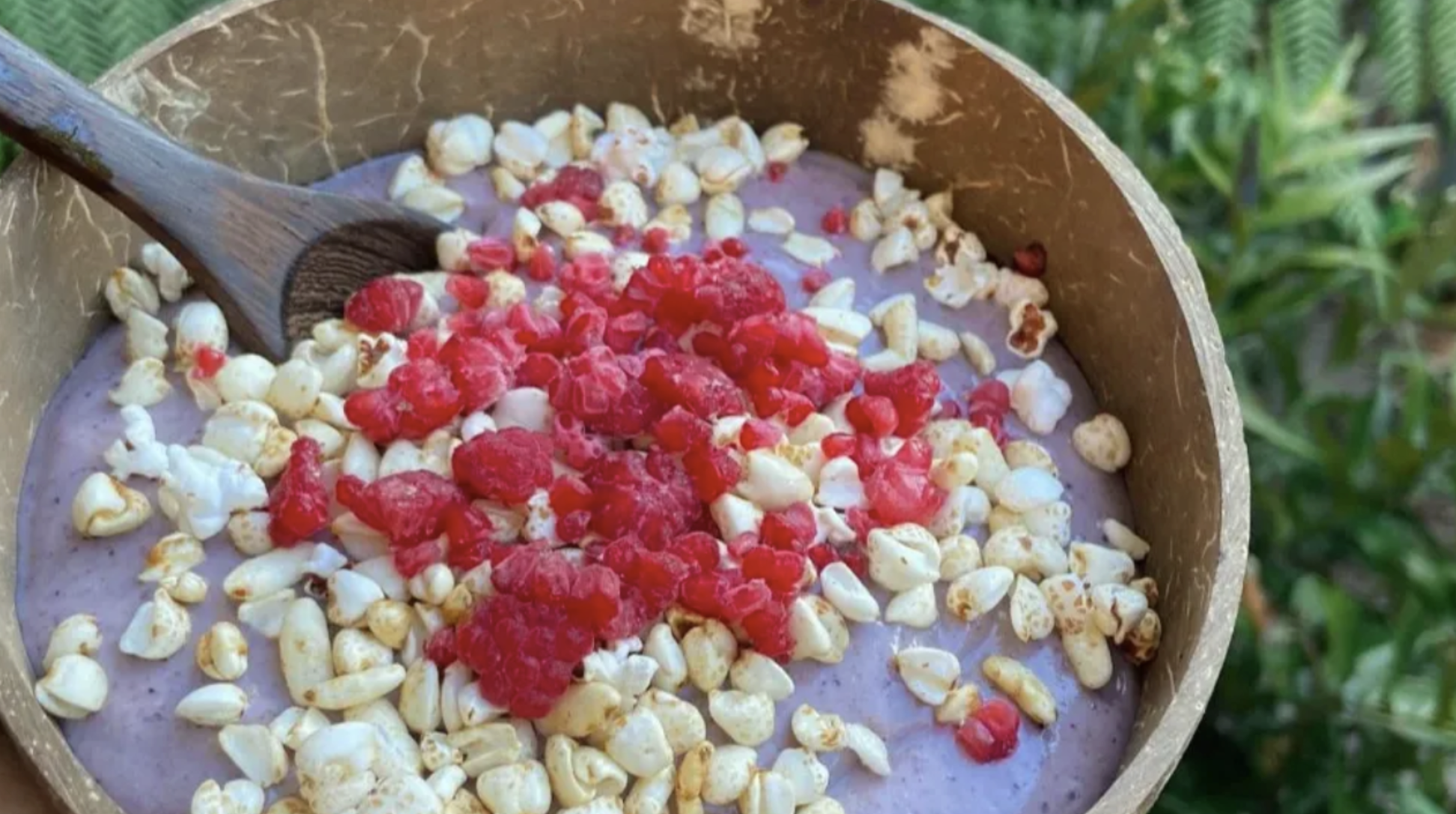 high protein, low carb smoothie bowl